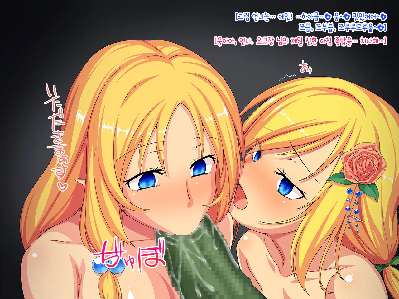 Elf No Otome Aselia ~Ishuzoku Nikubenki No Unmei~